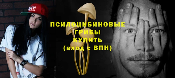 гашик Алзамай
