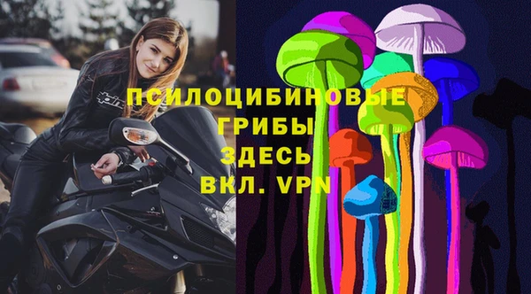 тгк Гвардейск