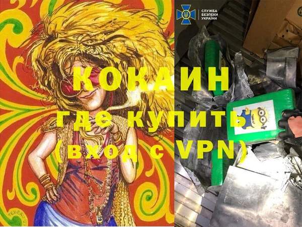 гашик Алзамай