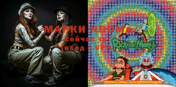 гашик Алзамай