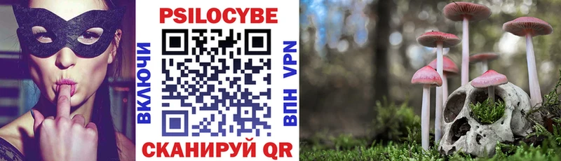 Псилоцибиновые грибы Psilocybe где найти Ардатов